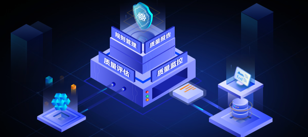 国内数据质量管理系统厂商介绍